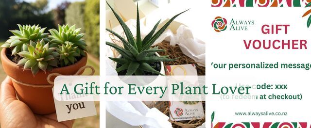 Gift boxes