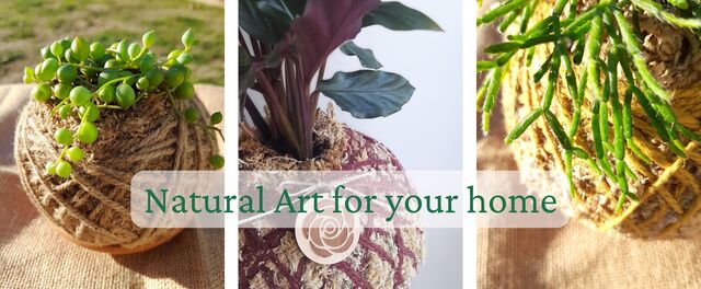 Kokedama