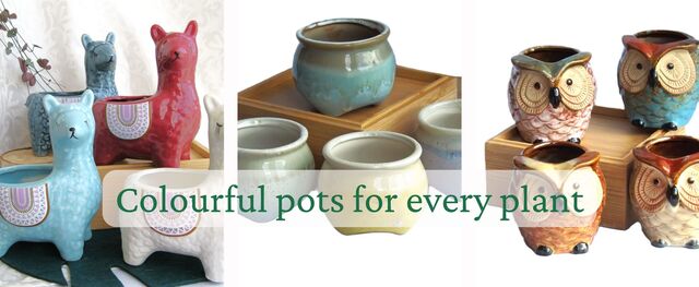 Planter Pots