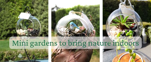 Hanging terrarium | Always Alive