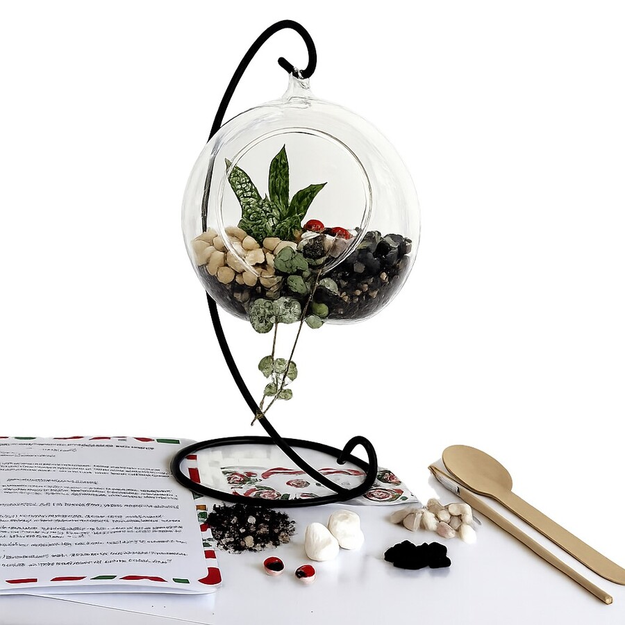 DIY Hanging Terrarium Kit – Medium Glass, Stones & Iron Stand