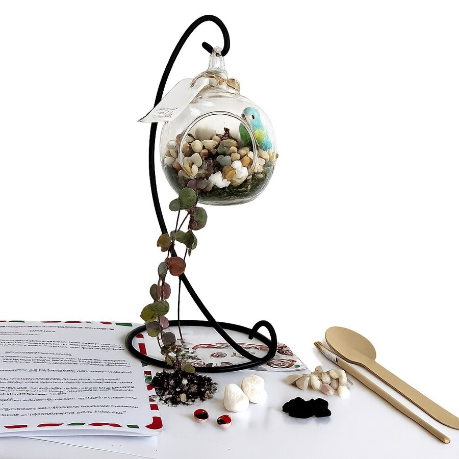 DIY Hanging Terrarium Kit – Small Glass, Stones & Iron Stand