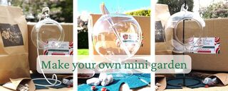 Terrarium Kits & Supplies NZ | Always Alive