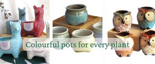 Planter Pots NZ  | Always Alive