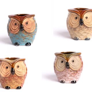 Owl planter pot