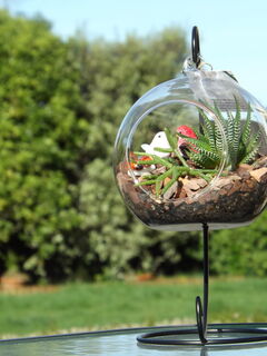 Custom Glass Hanging Terrarium - Unique Elegance, Size Options