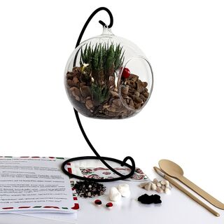 DIY Hanging Terrarium Kit – Large Glass, Stones & Iron Stand