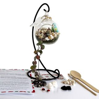 DIY Hanging Terrarium Kit – Small Glass, Stones & Iron Stand